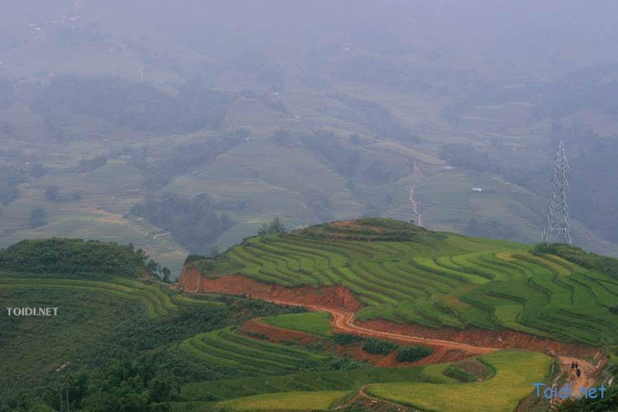 Ruộng bậc thang ở Sapa