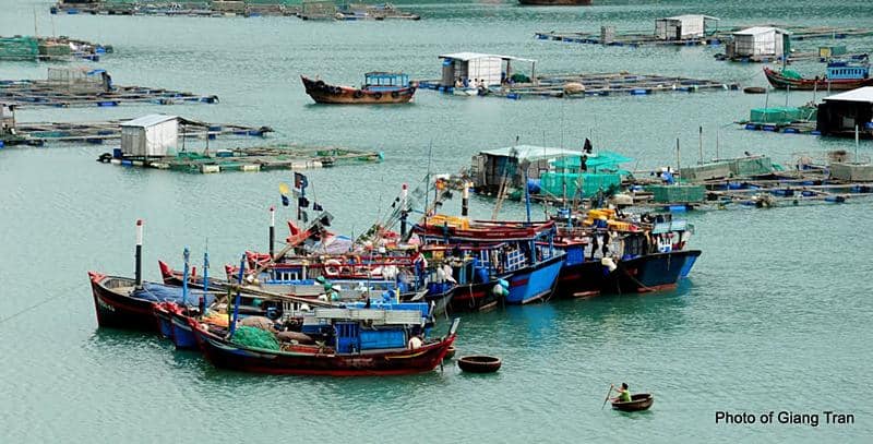 tuy hoa phu yen (2)