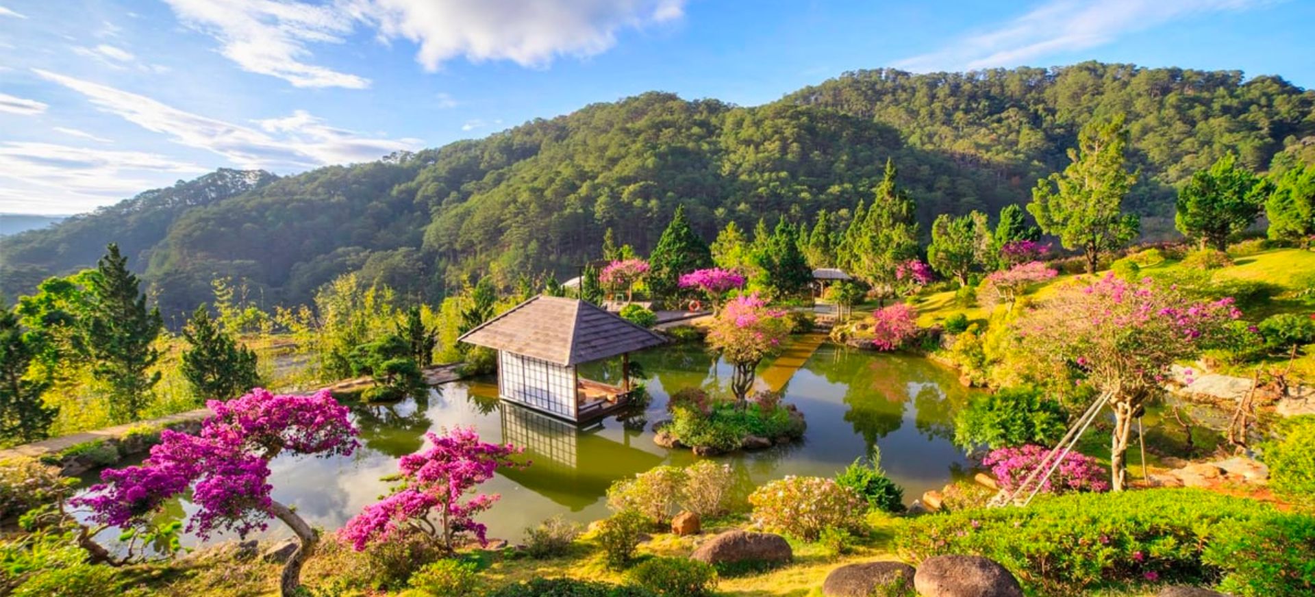 Vẻ đẹp lãng mạn của Đà Lạt