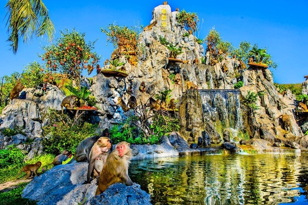 Những chú khỉ tinh nghịch trên đảo Khỉ