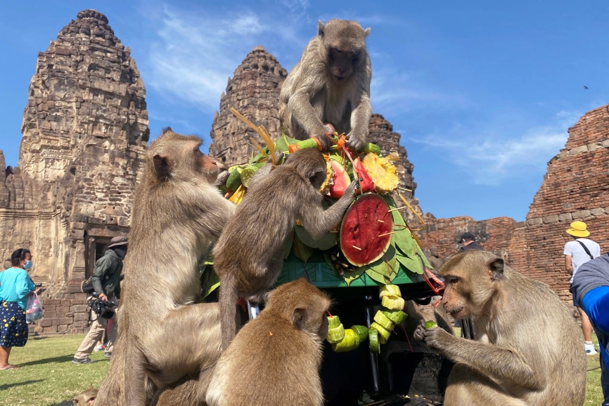 Lo ngại thành phố du lịch Thái Lan thành &#8216;thị trấn ma&#8217; vì đàn khỉ