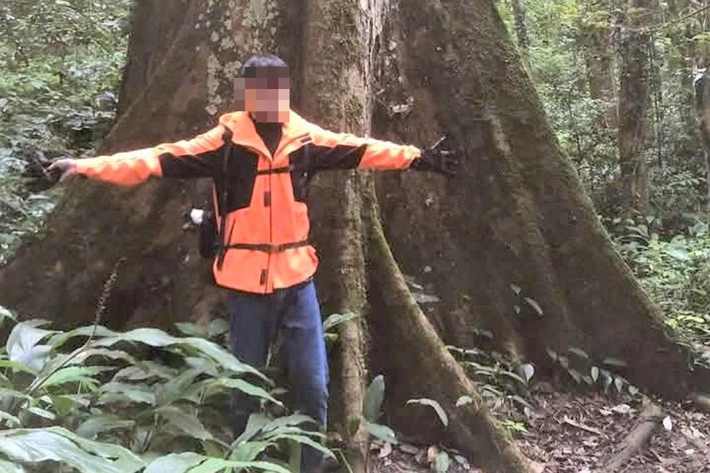 Lối vào một hang động trong rừng, gợi liên tưởng đến động Sơn Cung