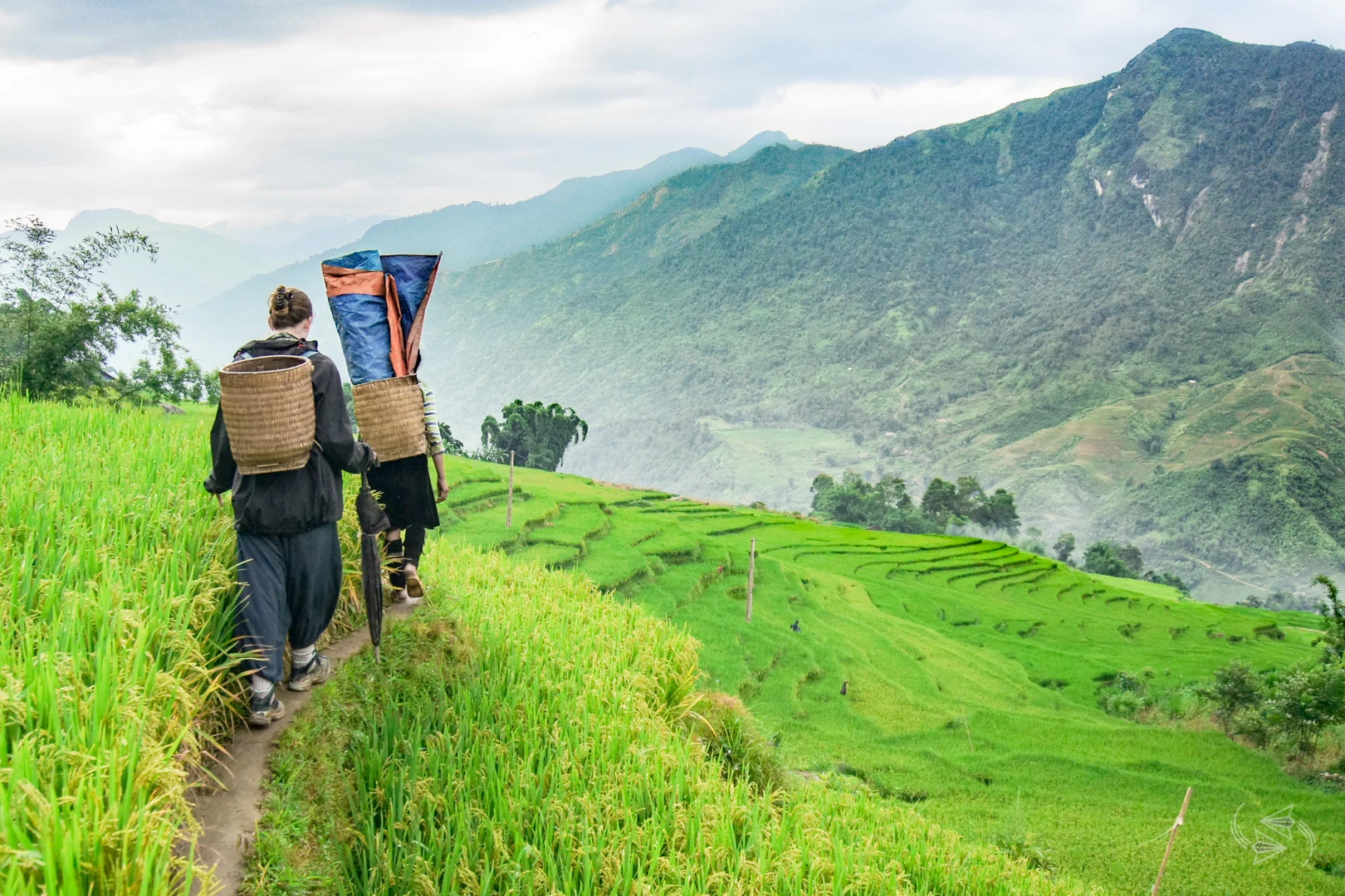 Khung cảnh thung lũng Sapa nhìn từ trên cao