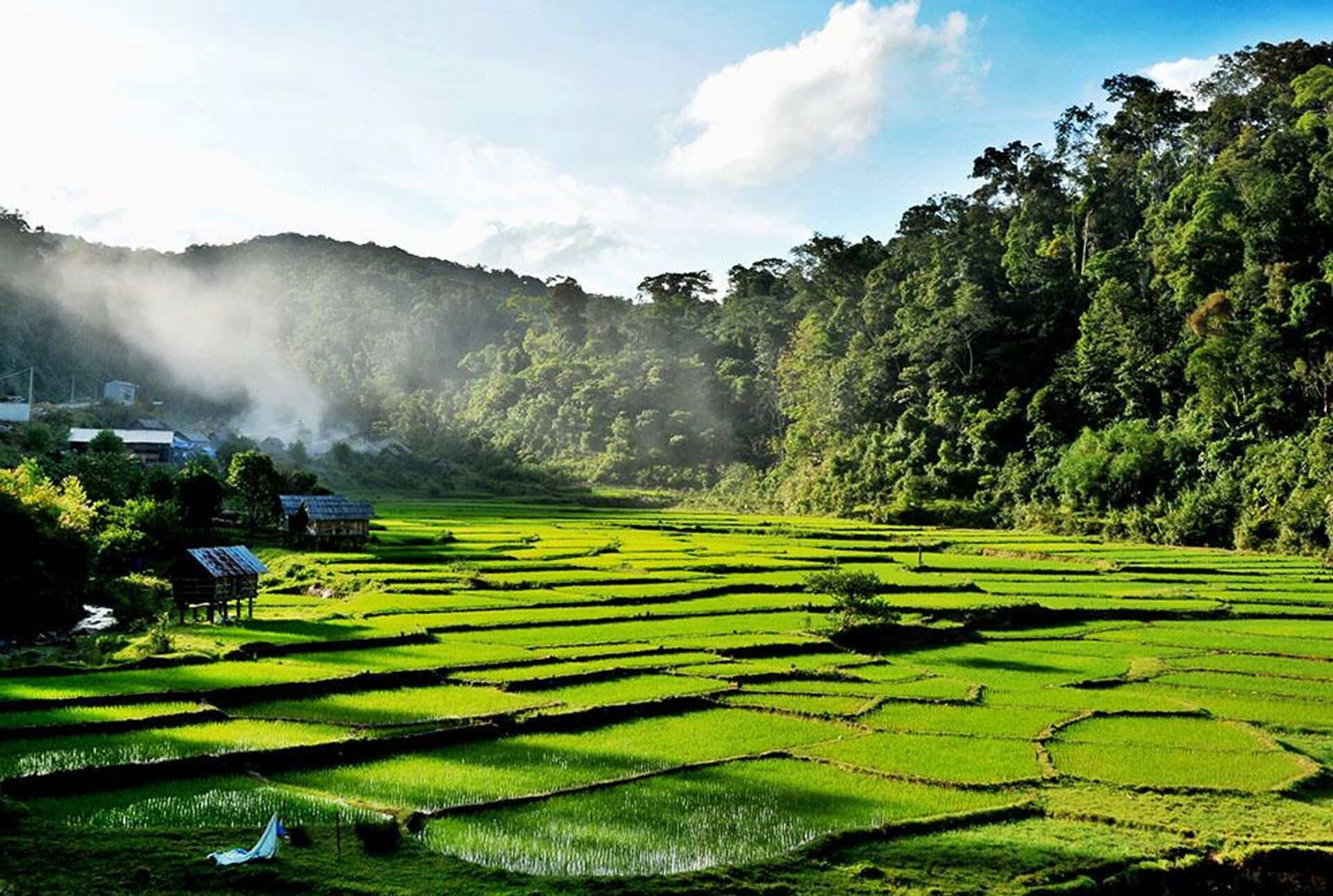 Hồng giòn Măng Đen