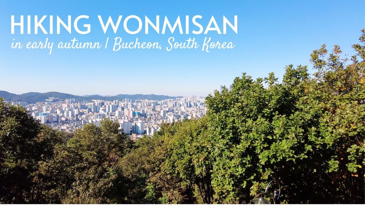 Mùa Đỗ Quyên Tím Lịm Núi Wonmi: Chốn Bình Yên Giữa Lòng Gyeonggi