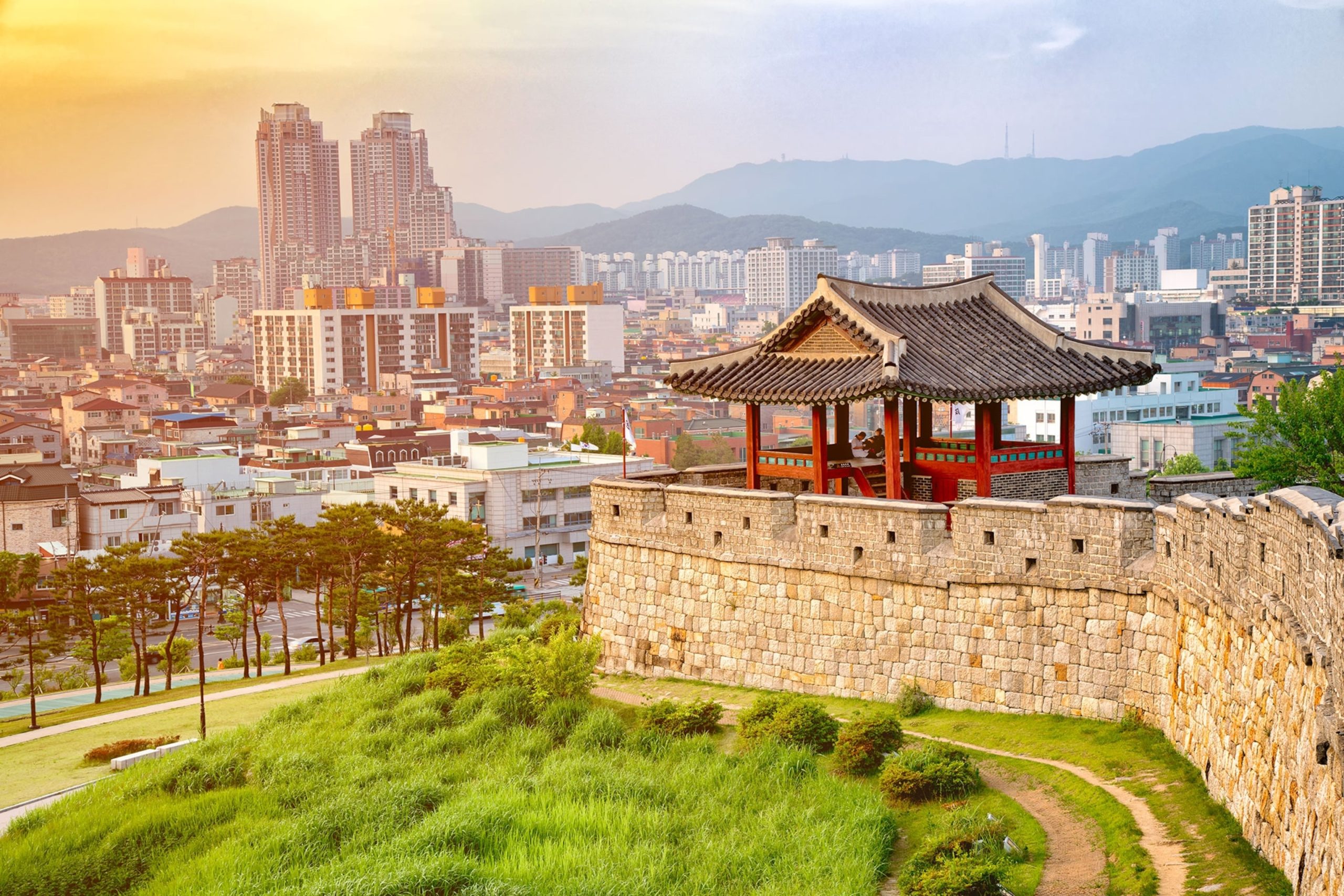 Con đường mòn len lỏi giữa rừng Đỗ Quyên trên núi Wonmi