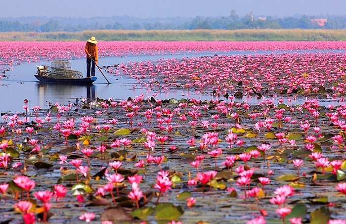 Nakhon Pathom: Chốn bình yên ‘khai sinh’ Phật giáo Thái Lan, chỉ cách Bangkok một chuyến xe!