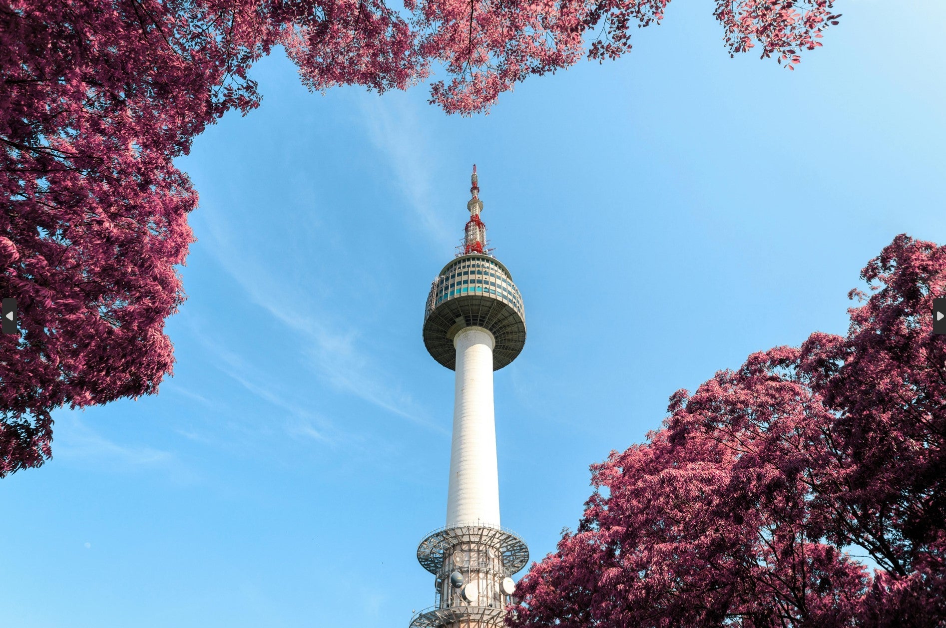 Du khách dạo chơi quanh khu vực Namsan Tower