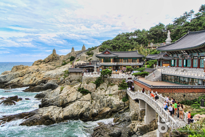 Haedong Yonggungsa rực rỡ sắc hoa anh đào vào mùa xuân