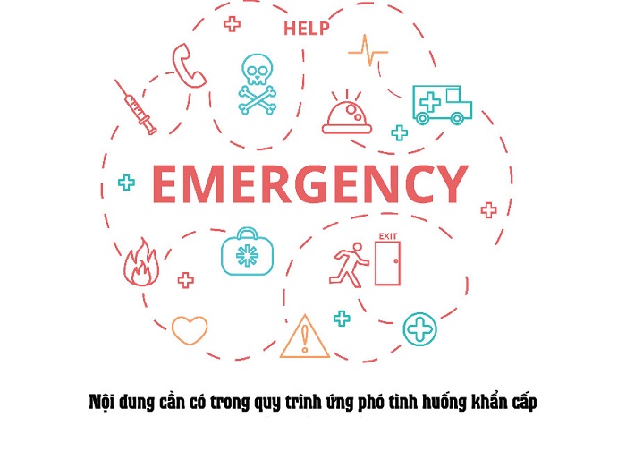 Đồ họa quy trình ứng phó tình huống khẩn cấp