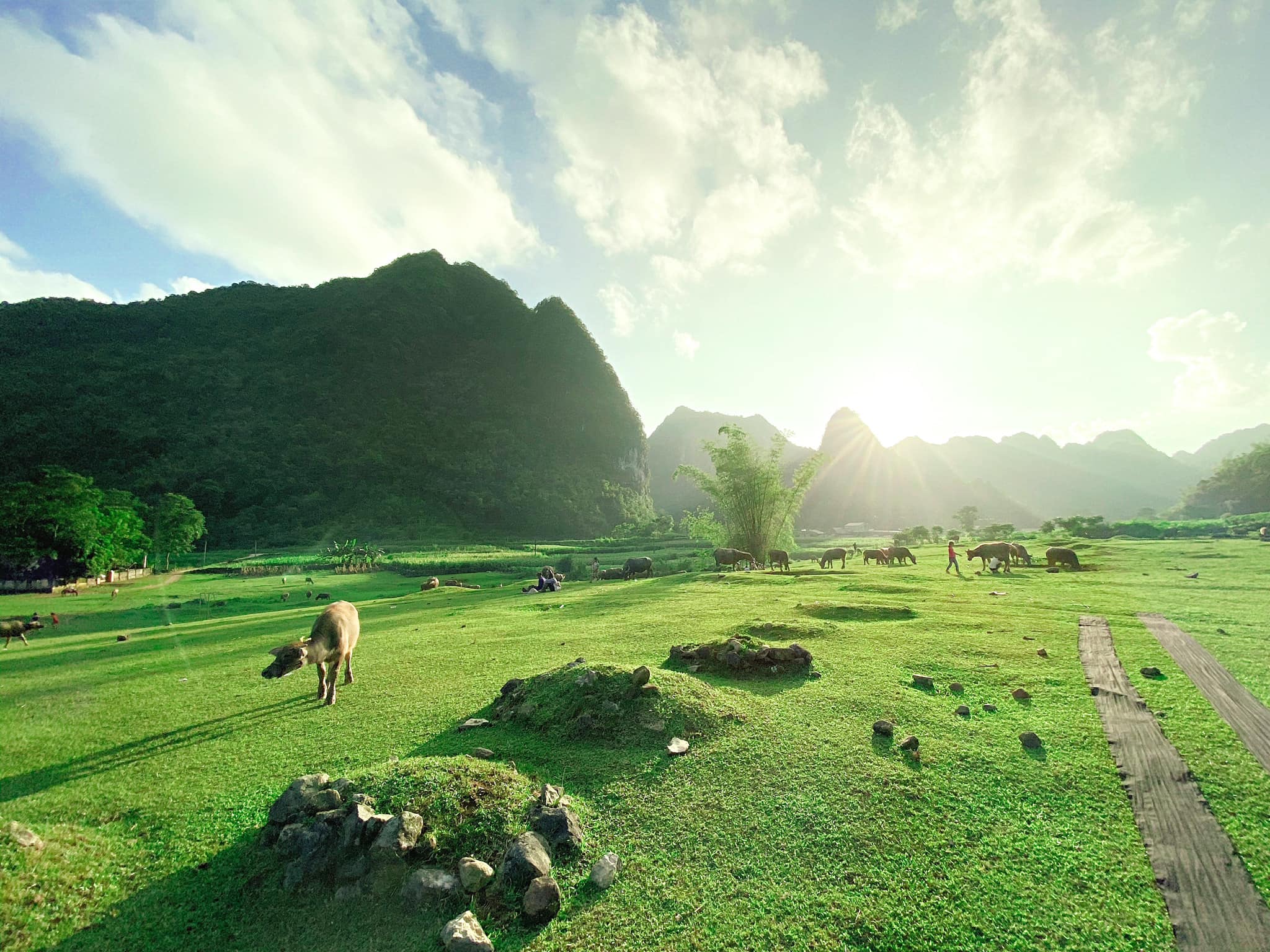 Thị trấn Phần Lan