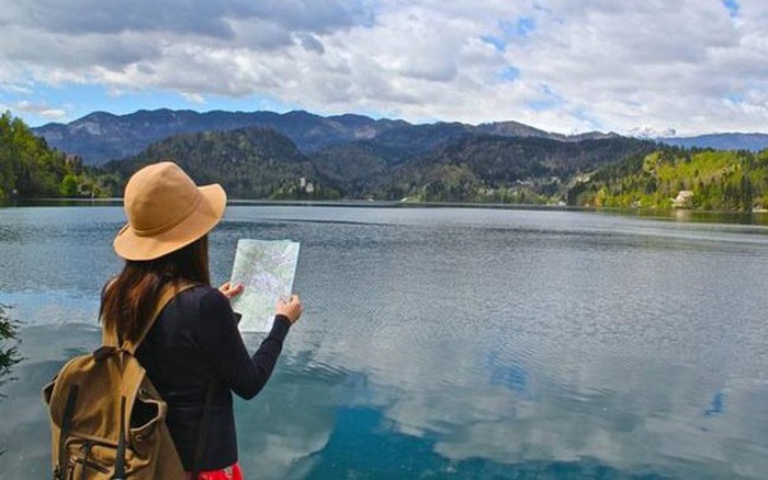Đồng cỏ New Zealand