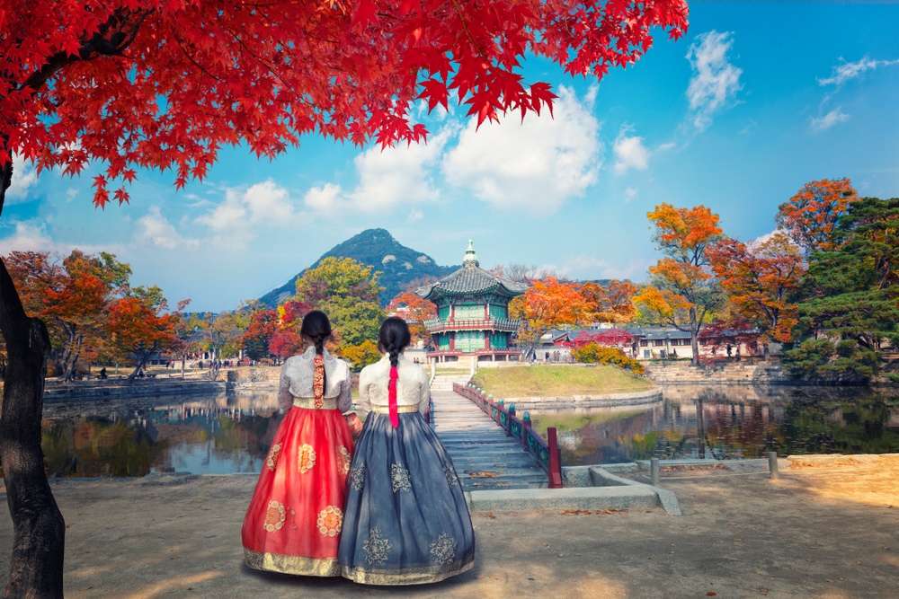 Oido – Lối Thoát Cuối Tuần Từ Seoul: Biển Gọi, Hải Sản Kêu và Những Góc Cafe Xinh Xắn!