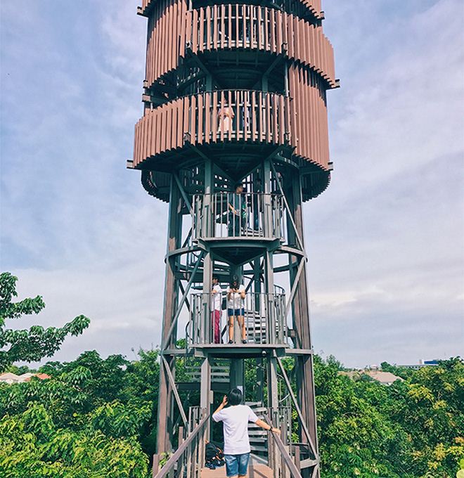 Đường đi bộ trên cao