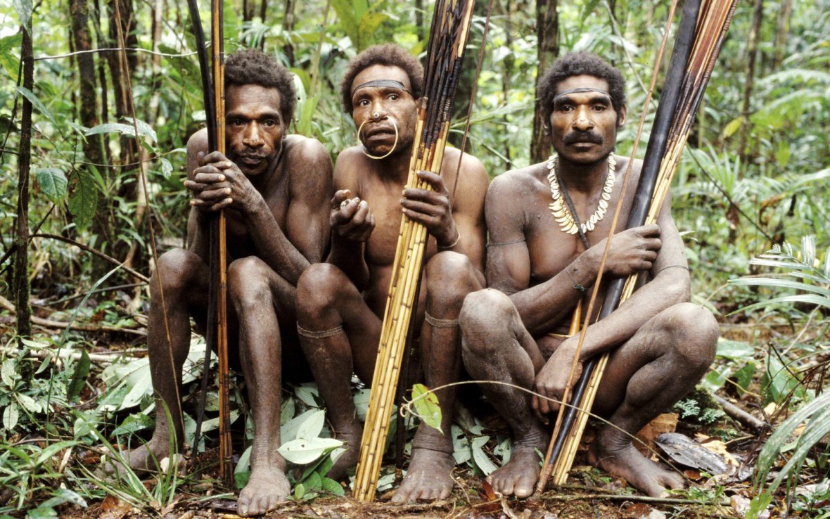 Khung cảnh rừng rậm và dòng sông sâu thẳm ở Papua