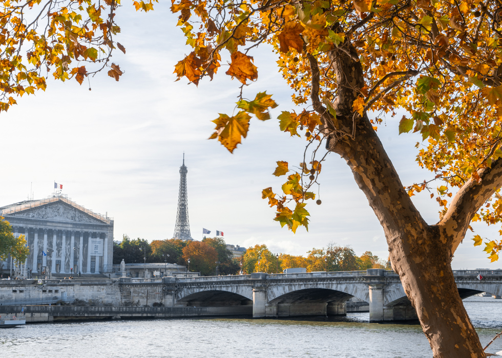Mùa thu Paris