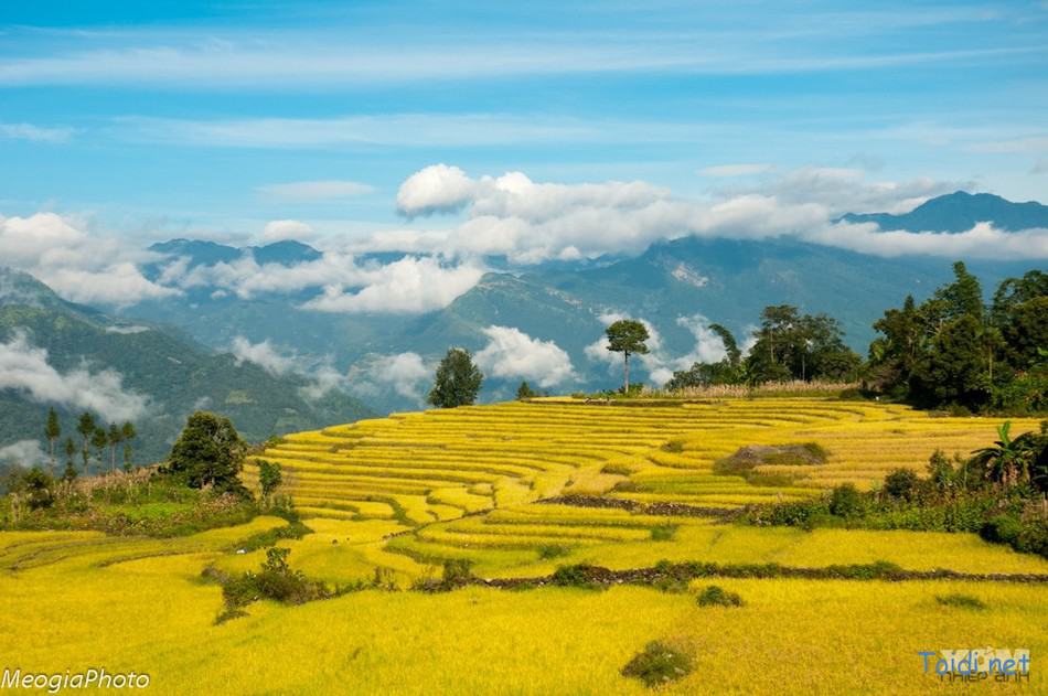 Phượt du lịch Y Tý Sapa