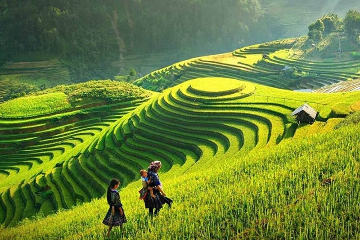 Sapa Gọi Mùa Yêu Thương: Hành Trình 3 Ngày Ngập Tràn Cảm Xúc Từ Fansipan Đến Hà Khẩu