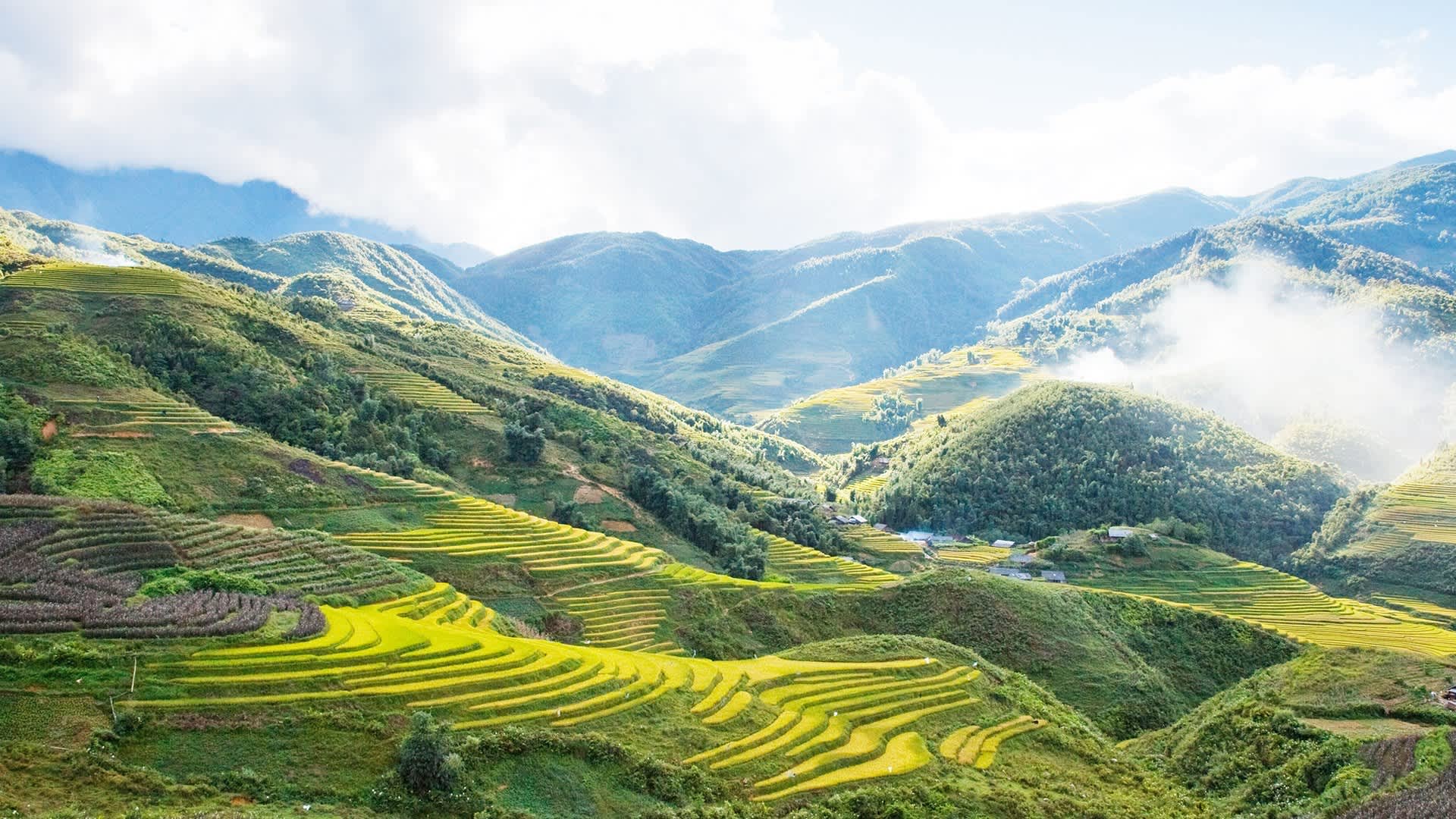 Sapa, ơi! Chạm vào sương, đắm mình vào hương vị núi rừng Tây Bắc