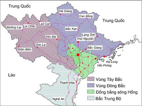 Ruộng bậc thang Mường Hoa Sapa