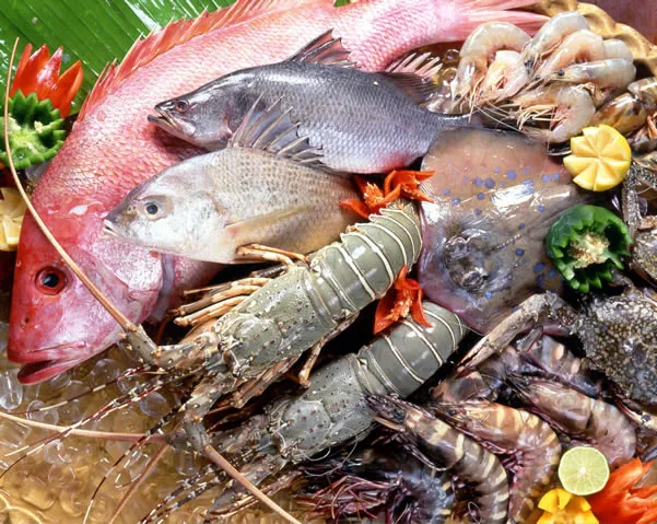 Hải sản tươi rói trong bể nước