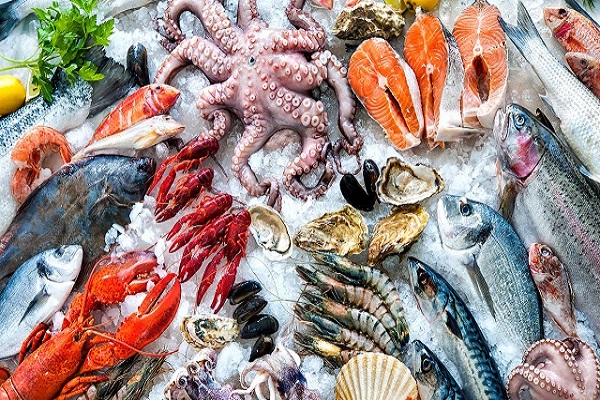 Đủ loại hải sản tươi ngon đang chờ bạn khám phá