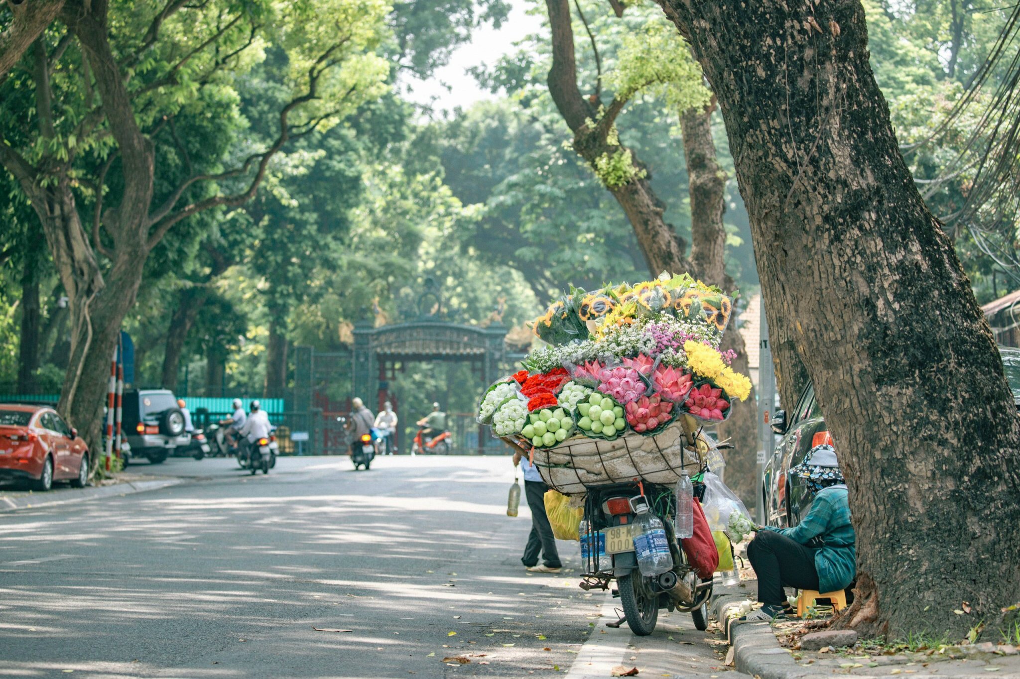 Con đường Hà Nội mùa thu lá vàng rơi