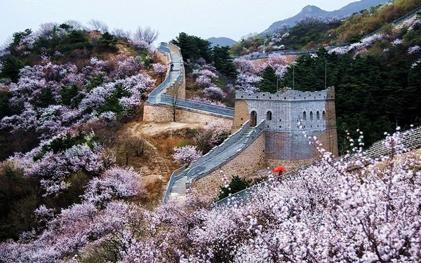 Toàn cảnh Tử Cấm Thành từ Công viên Cảnh Sơn