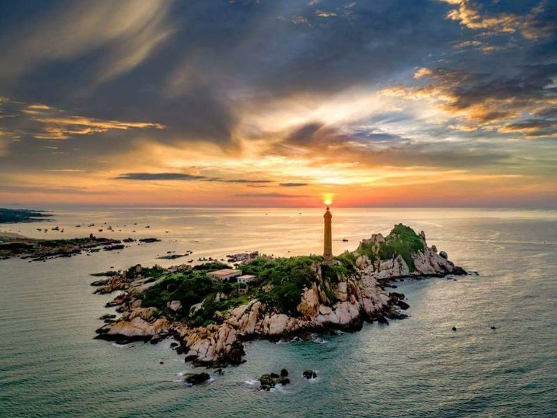 Thanh Long Bình Thuận: “Vương Quốc” Xanh Mướt Chờ Bạn Khám Phá!