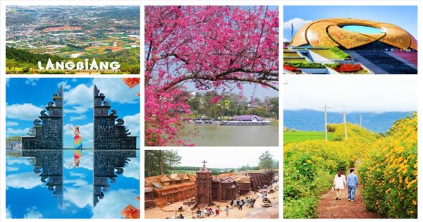 Đồi chè Cầu Đất xanh mướt