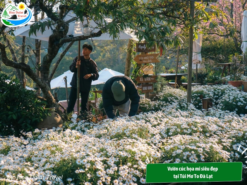 Không gian vintage bên trong Túi Mơ To