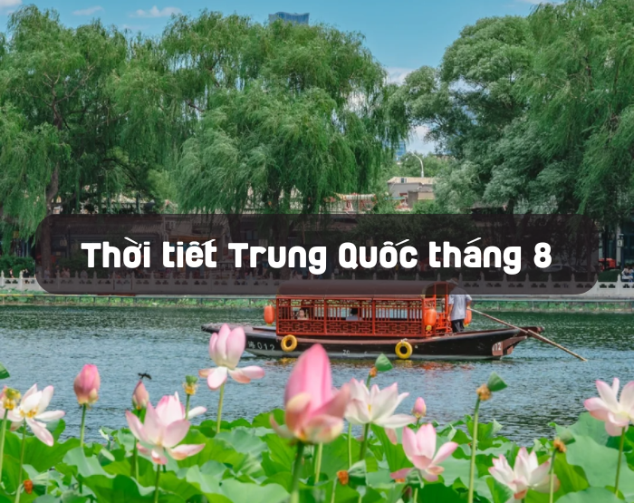 Núi Nga Mi huyền ảo trong sương sớm