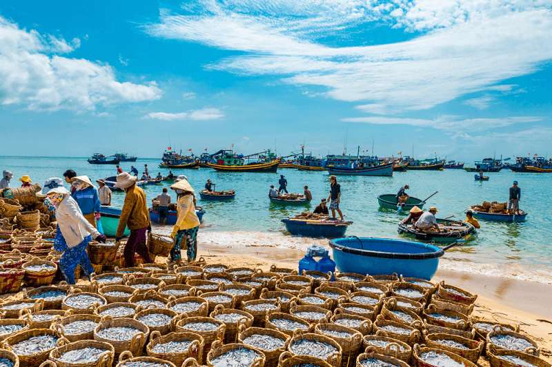 Những chiếc thuyền thúng, thuyền nan neo đậu yên bình bên bờ biển