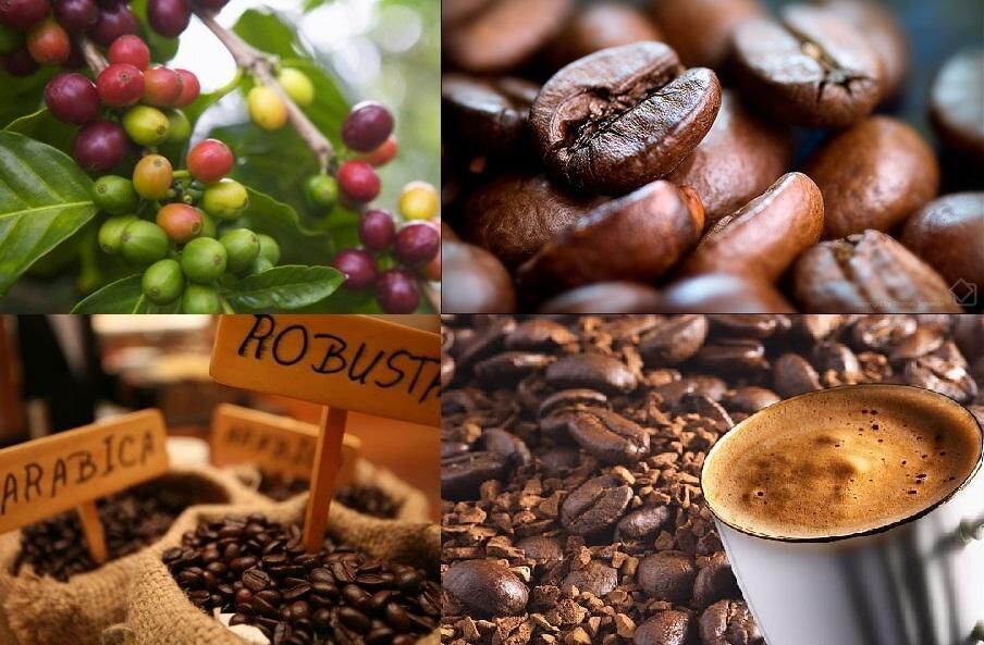 Ly cà phê sữa đá Việt Nam với lớp sữa đặc ở dưới đáy ly