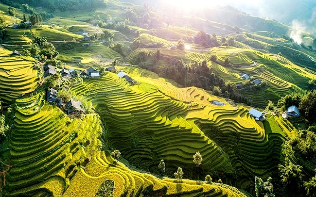 Chùa Một Cột