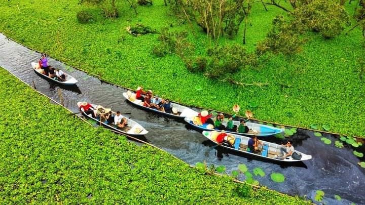 Trải nghiệm đi cầu khỉ ở Vĩnh Long
