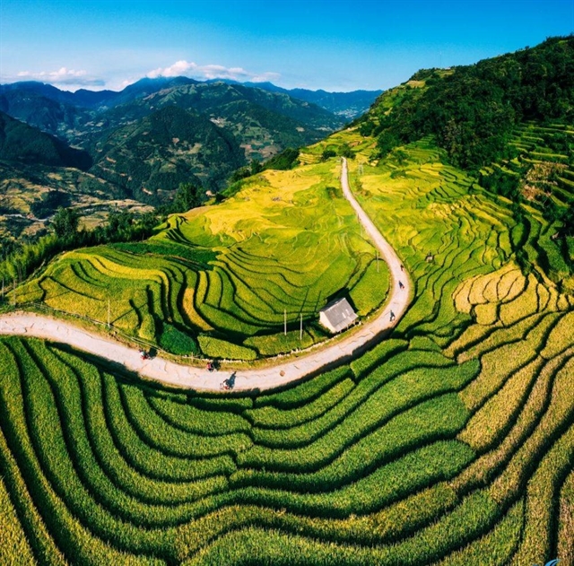 Mây vờn đỉnh núi Y Tý buổi sớm mai