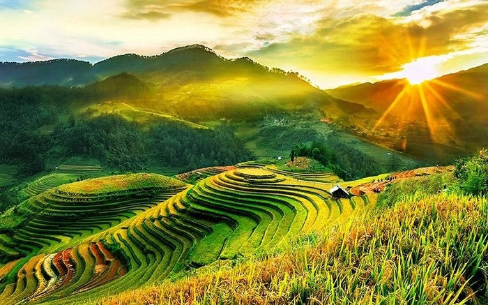 Thung lũng Mù Cang Chải