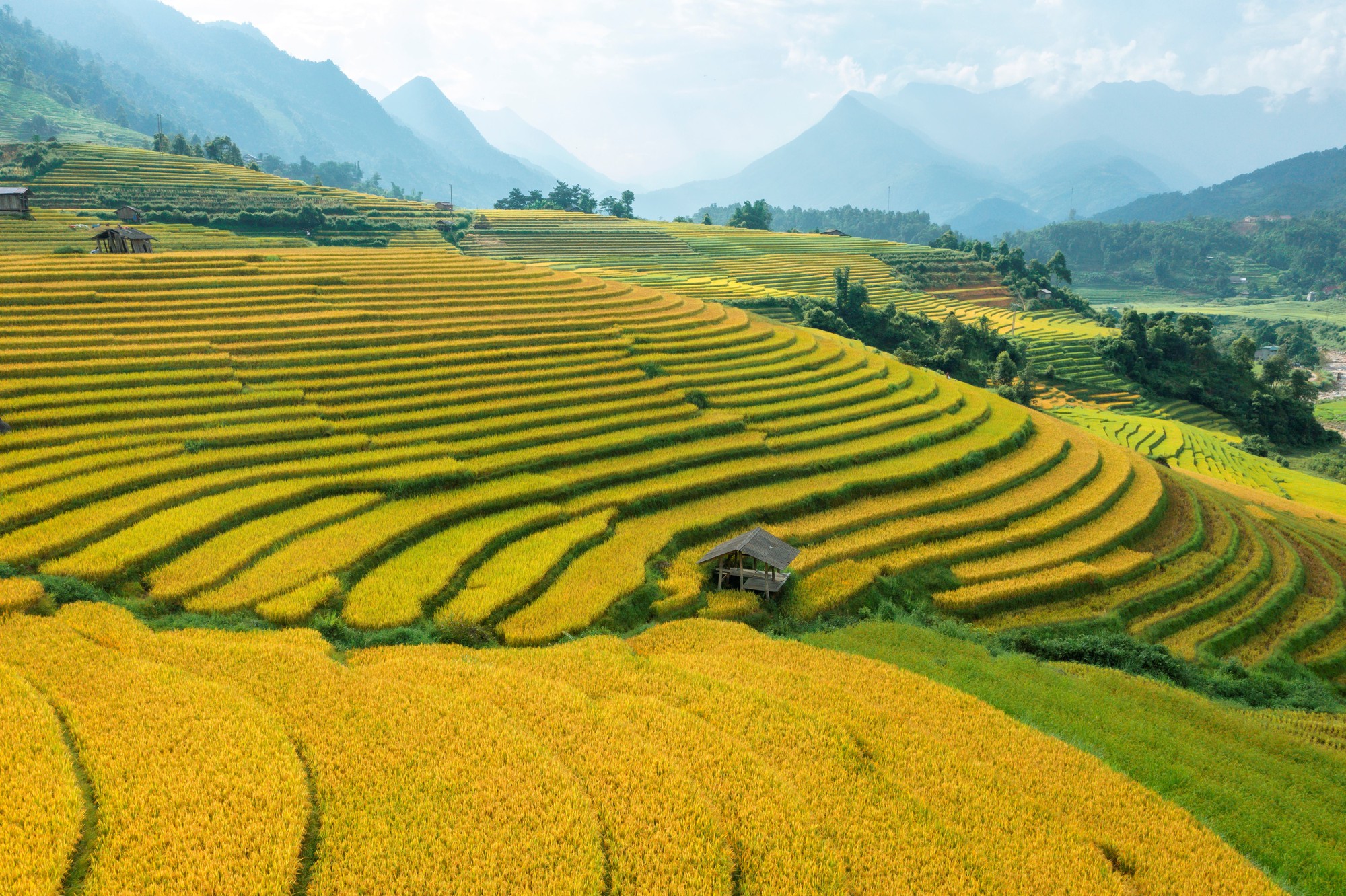 Người dân trên ruộng bậc thang
