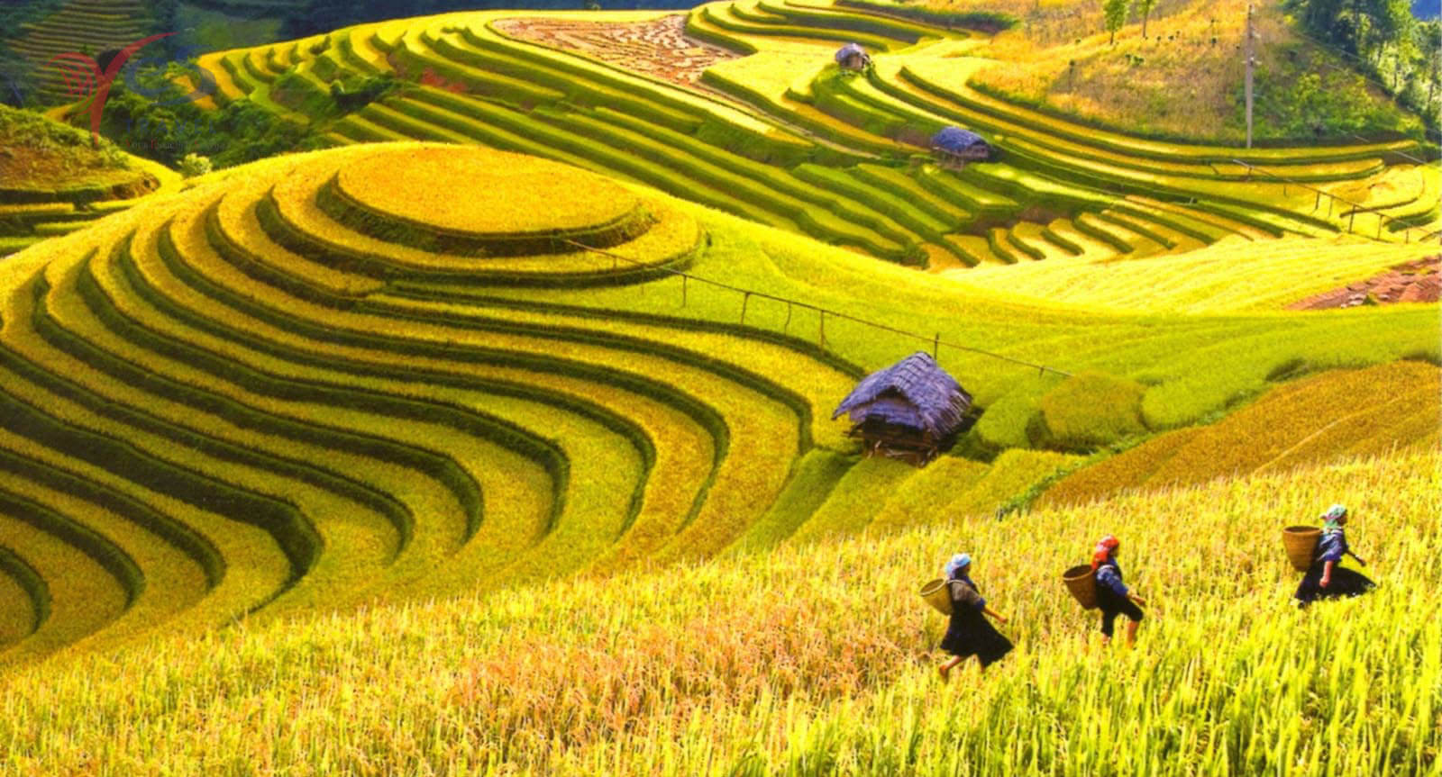 Cảnh quan Tây Bắc