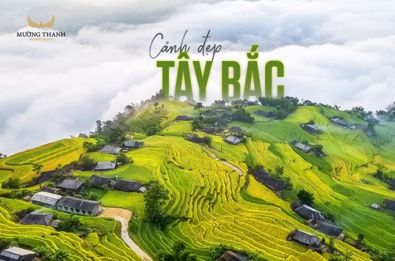 Núi rừng Tây Bắc
